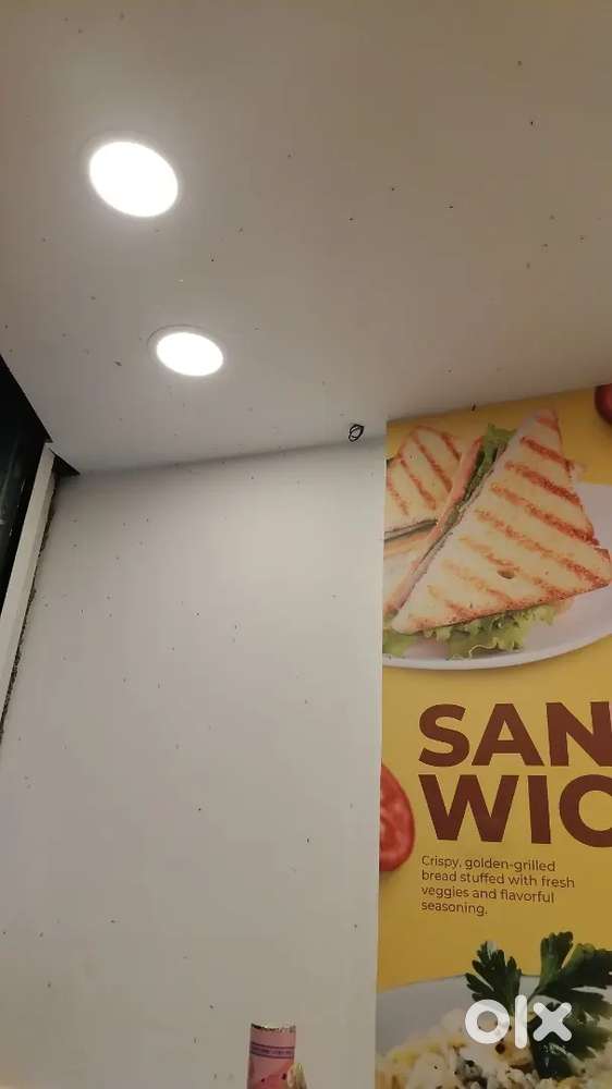 Chat, Samosa, panipuri,