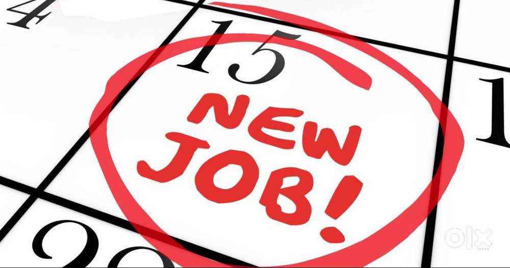 Customer Service Coordinator