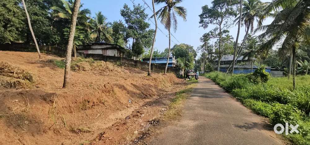 46cents For Sale Kaniyapuram NH bypass 300meter distance