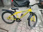 Suncross Cycle 24’’