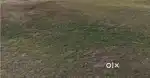 5 - 6 -10-20 CENT HOUSE PLOT FOR SALE AT NEAR KADUVAPALLY KALLAMBALAM