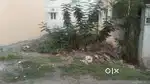 1000 SQFT PLOT FOR SALE AT VGP SELVANAGAR VELACHERY