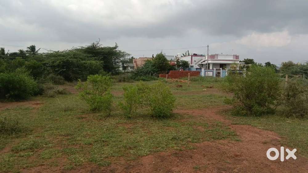 37.50L for 5 cent plot