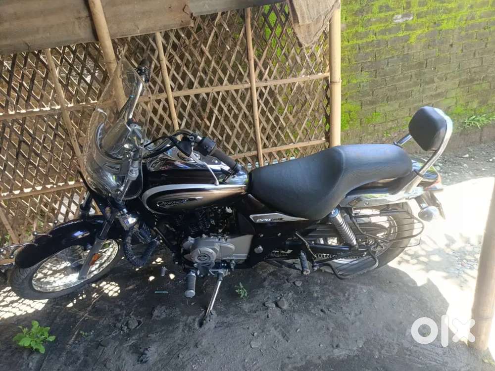 Bajaj avenger 220 Showroom condition Only Genuine buyer contact