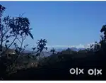 Land for sale in Kalimpong District