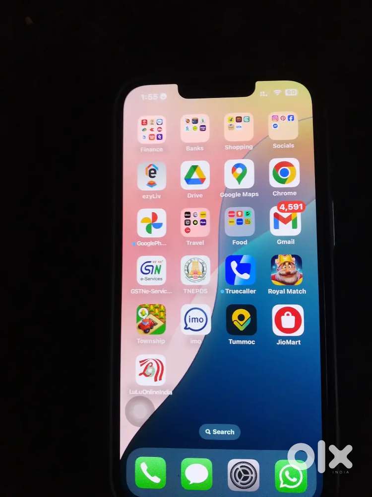 14 one year old bh 87