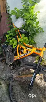 Bicycle second hand