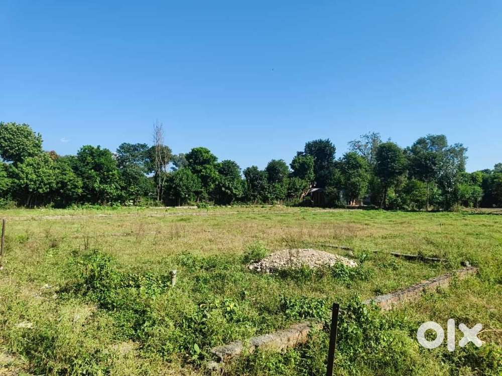 Residential plots in the heart of green, sceneric view