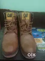 Brand New shoe