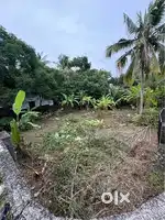 PLOT FOR SALE near TECHNOPARK PHASE 3, Thrippadapuram, KAZHAKKOOTTAM