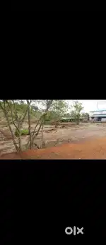 Selling My Land 151 guntha, 200000/guntha.Dapoli khed Road
