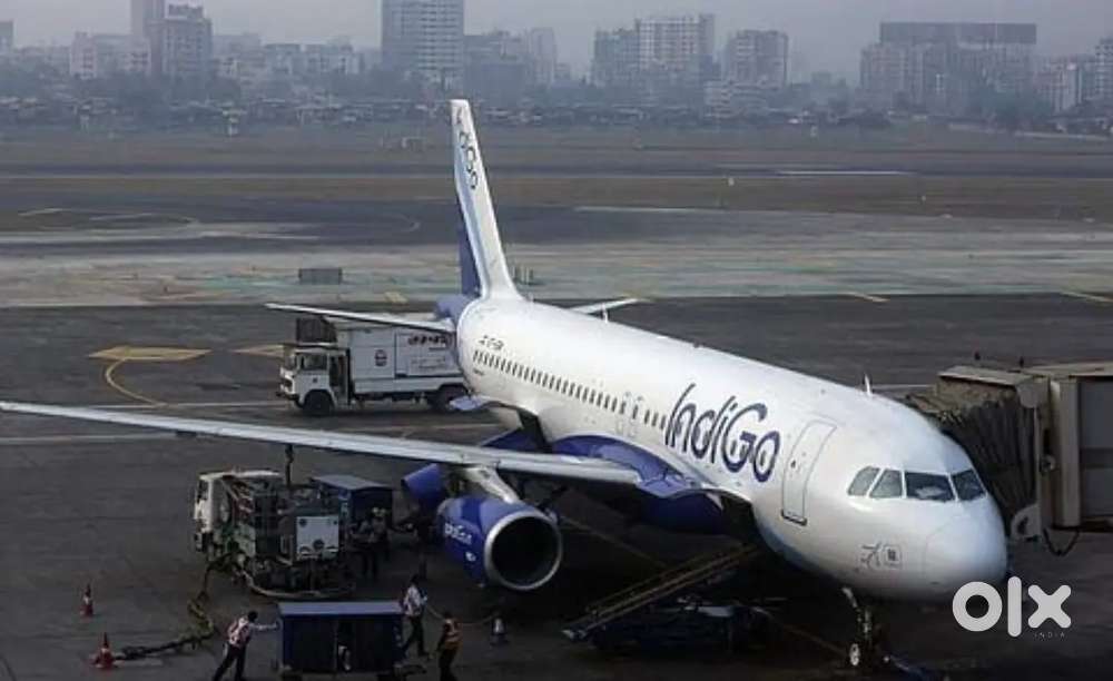Ground Staff jobs in indigo Airlines urgent hiring