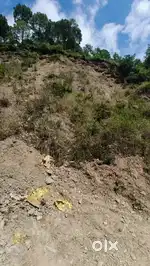 4 Biswa Land For Sale in Solan
