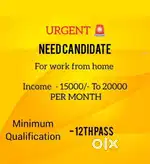 PART TIME / FULL TIME - WORK FROM HOME ( TIME FLEXIBLE)