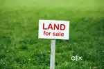 *Prime Roadside Land for Sale in [Bonthapadu/Guntur]!