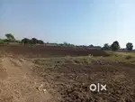 2.5 Acre Yellow Zone Land for Sale in Gangapur