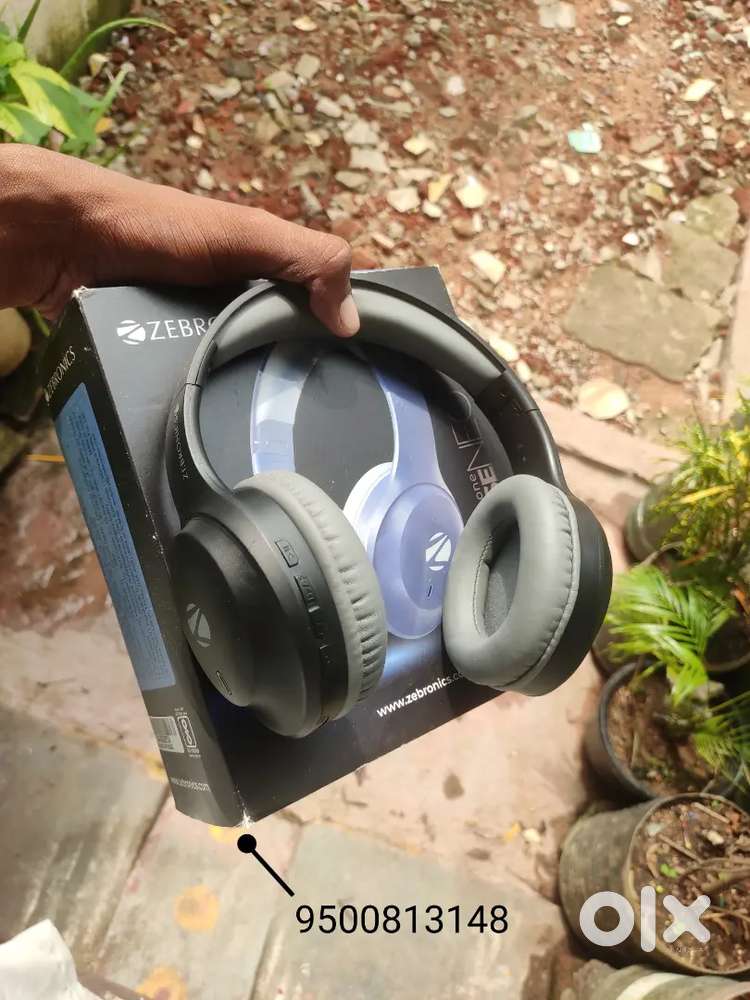 ZEBRONICS PARADISE NEO NEW HEADPHONE