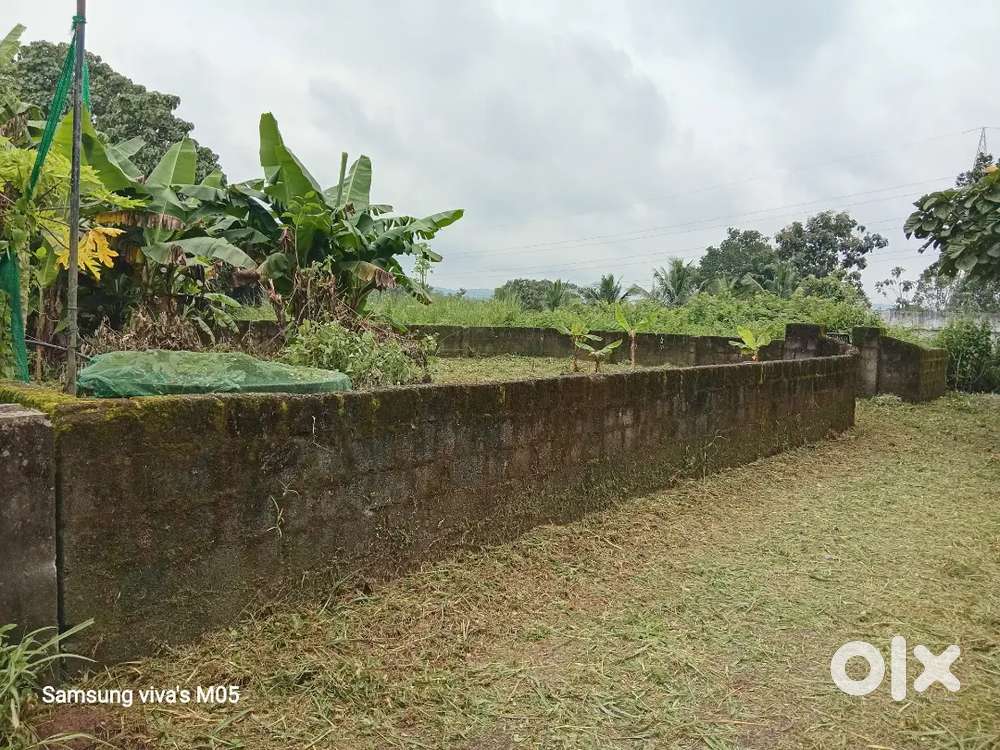 7 cent land for sale rs2lakh/ cent
