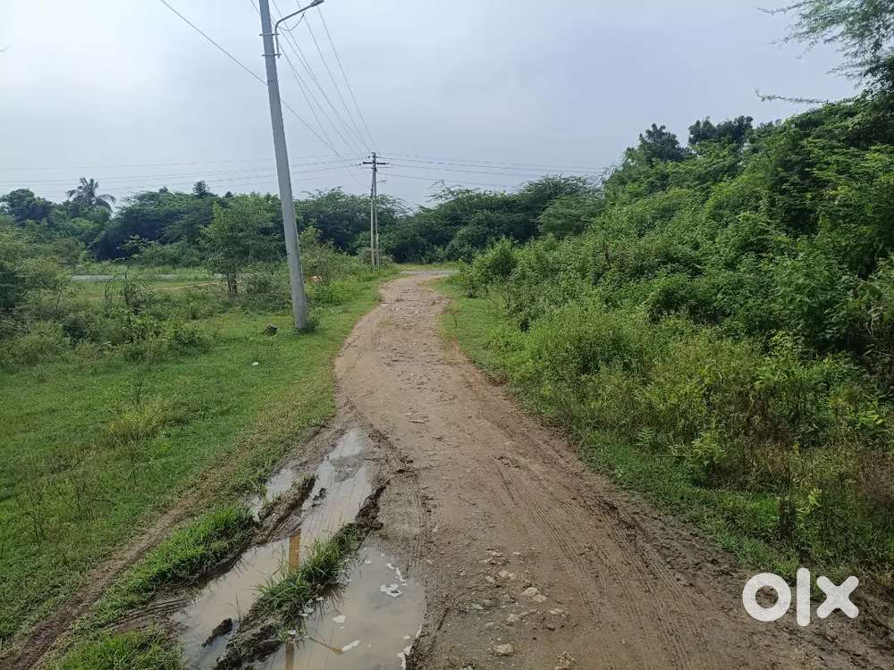 Plot for sale at Katpadi Kalpudhur Kamraj Nagar near to Sunbeam School