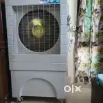 Crystolux commercial  Cooler heavy duty fibre body (7 days old)
