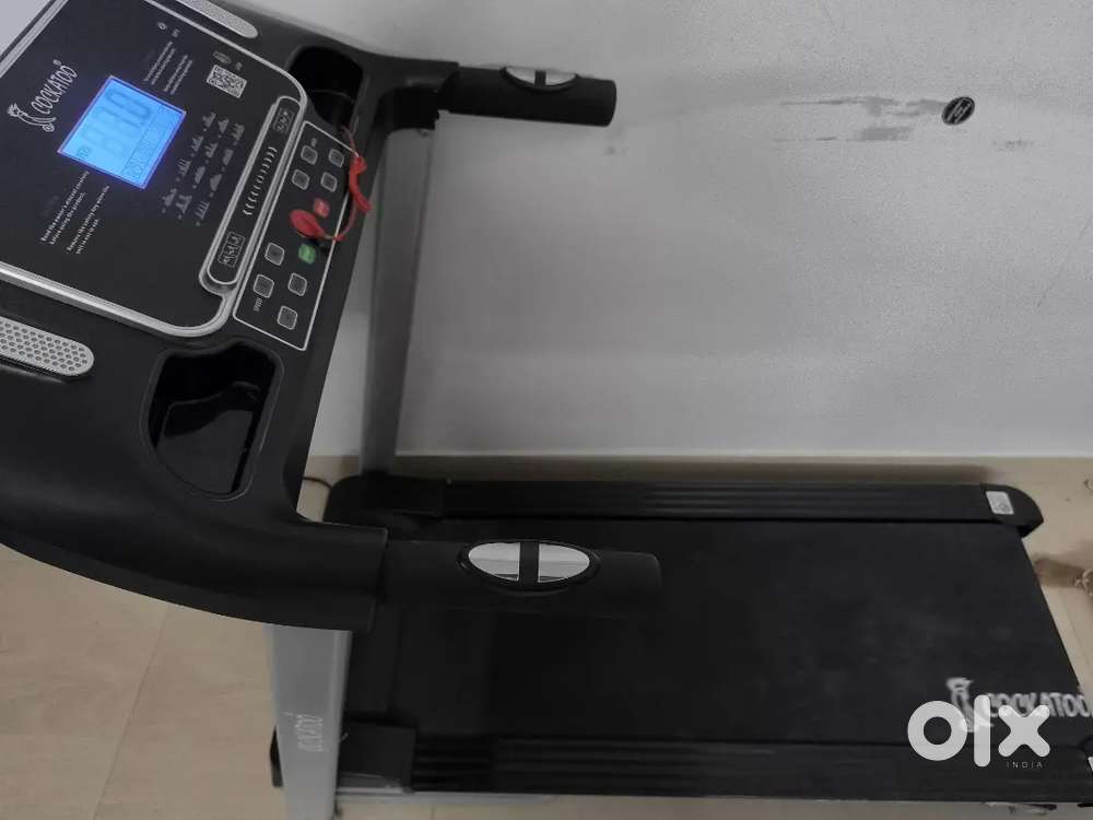Cockatoo Treadmill