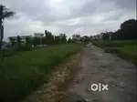 Land for rent