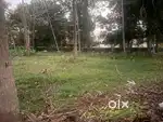 Plot for sale in Vennala