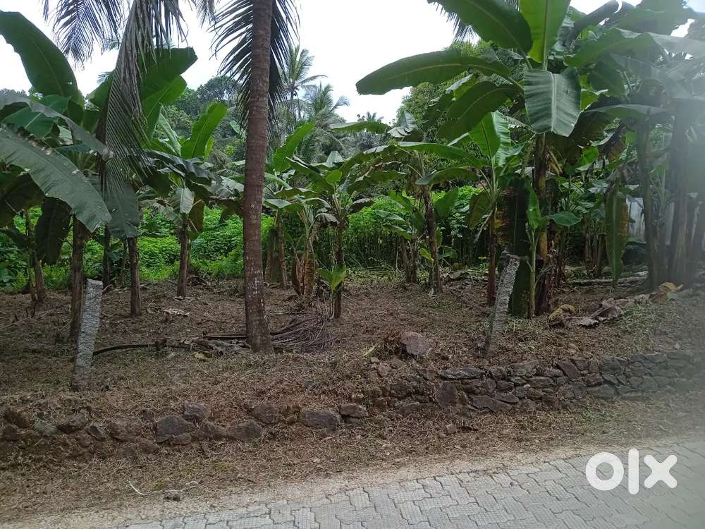 Plot for sale at Edamattom Near Edamattom Church