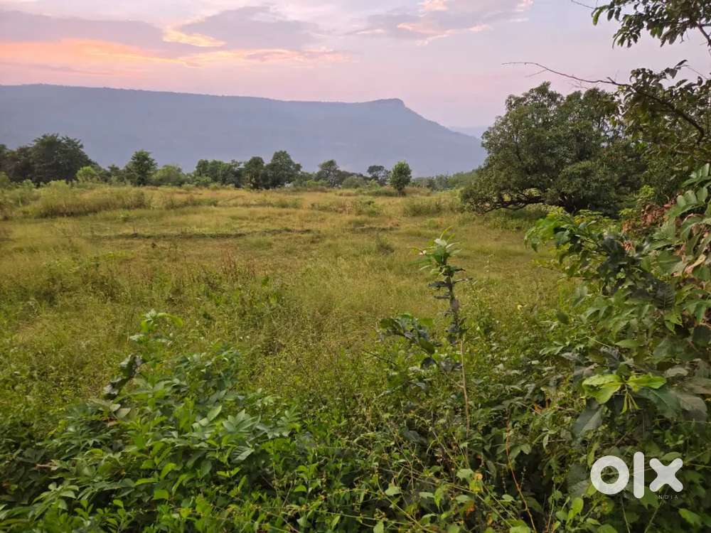 MANDANGAD PROPERTIES