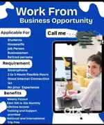 Data Entry Work