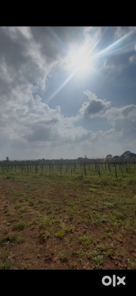 35lkhs per acre