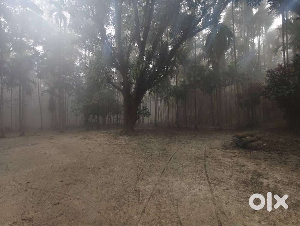 land for lease or rent for any projects