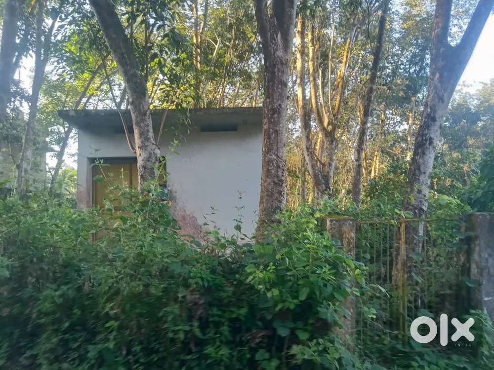 71 cent plot for sale, Chenkavila