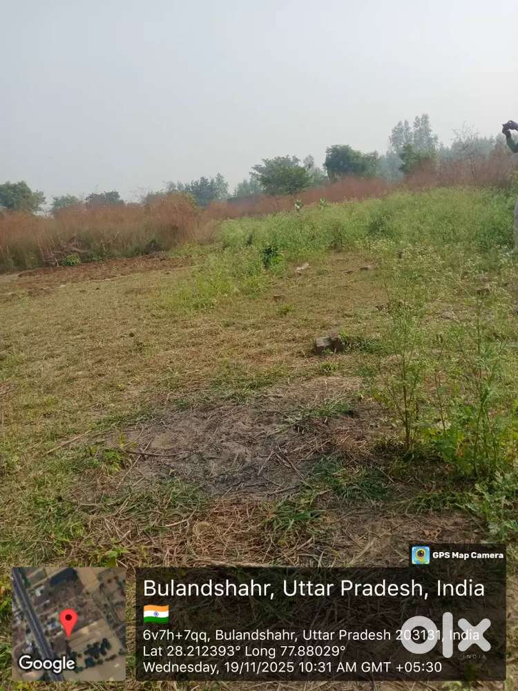 205 गाज का पिलोट