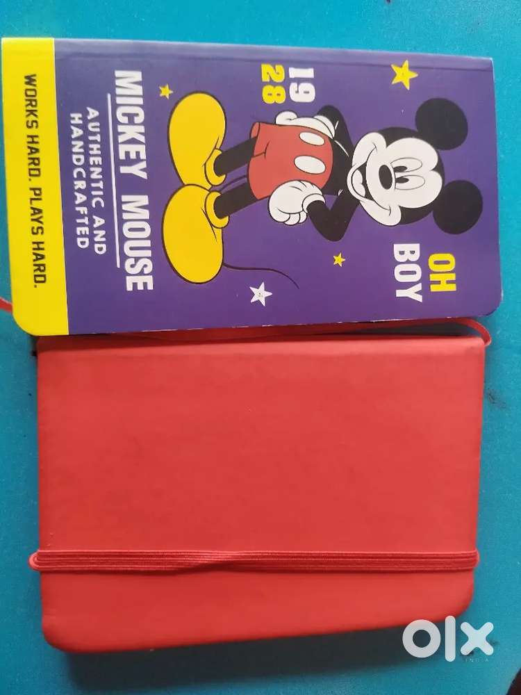 Premium Blank Diaries