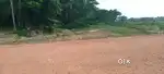 Thammanam palarivattom land for sale