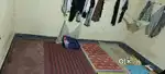 Need a student roommate near Ruchika Market