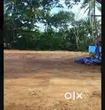 4 cent plot