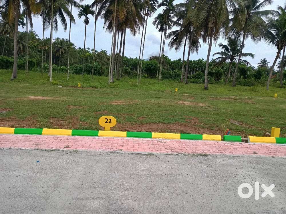 A newly developed layout