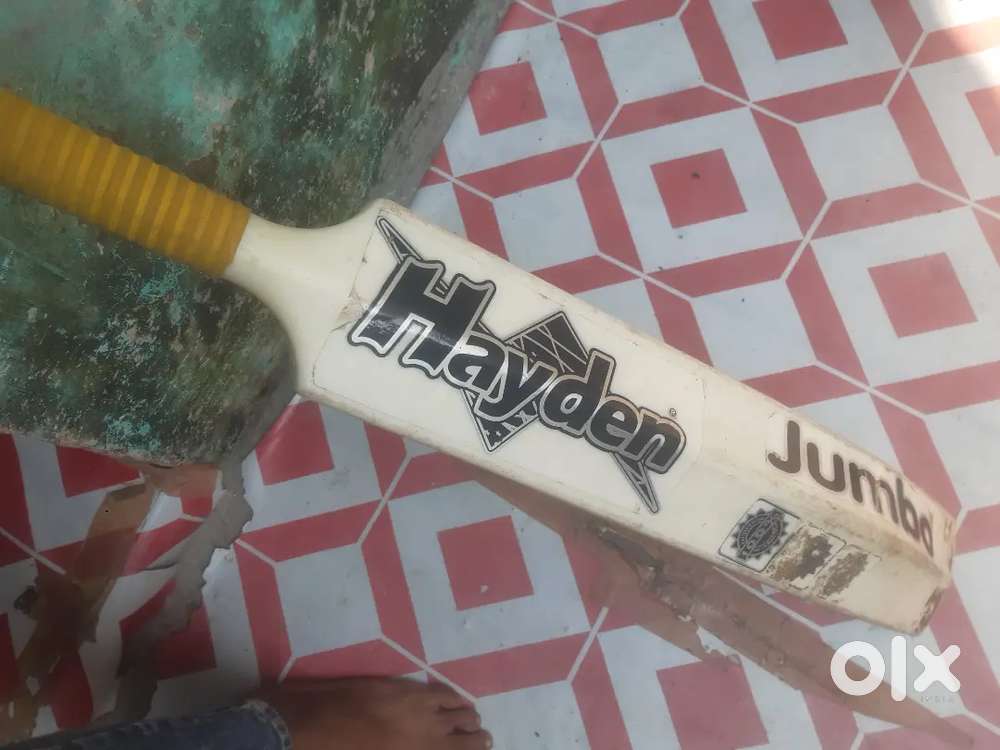 Jumbo Bat 1st  Claas Hayden Bat