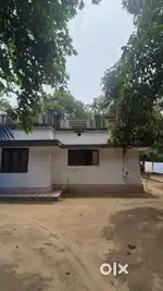 1200 sqft HOUSE FOR SALE IN CHANDHANA EAST WITH 55 CENT LAND
