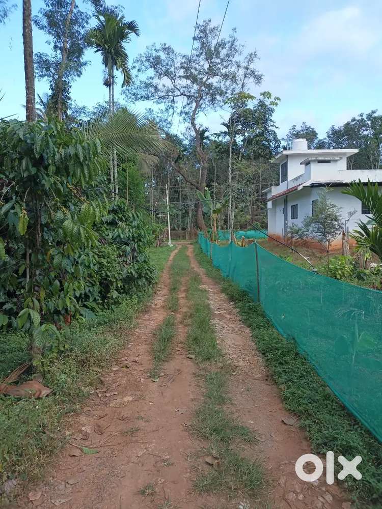 30 cent plot in Kalloor, Sulthan Bathery