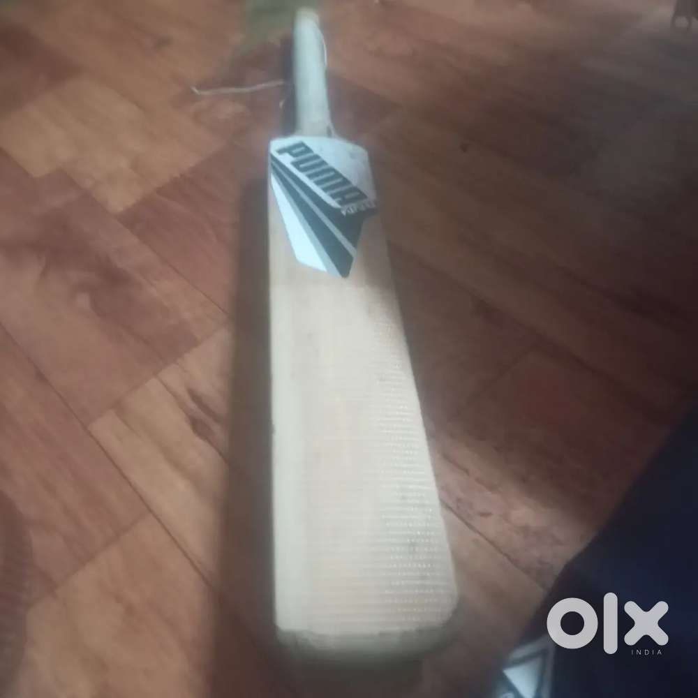 Cricket bat