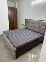 Pg available for girls at model town