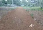 ചേർത്തല കോടതി കവലയിൽ നിന്നും 1 കിലോമീറ്റർ പരിധിയിൽ