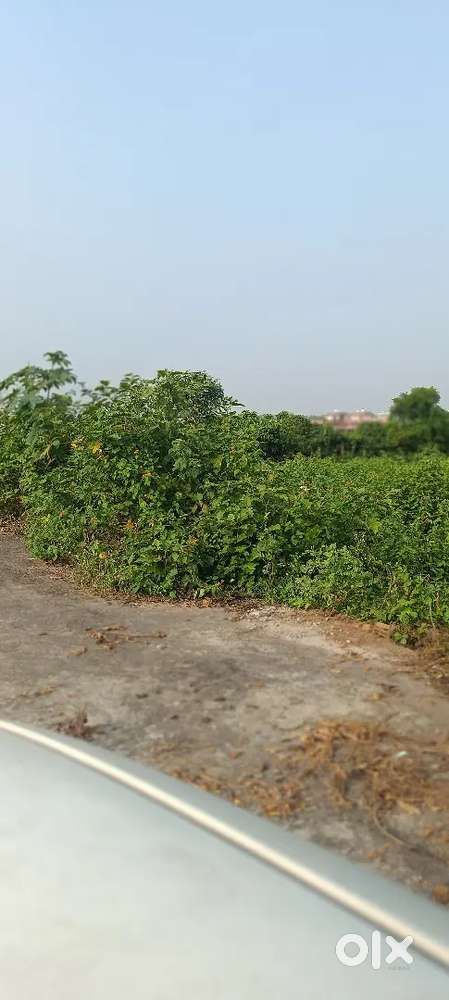देवपुर देवका कटघरिया विशेष टाउनशिप के सामने हाईवे से 400 मीटर की दूरी