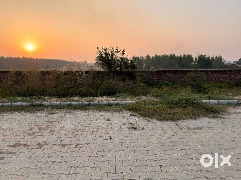 Plot For Sale Near Chandigarh University