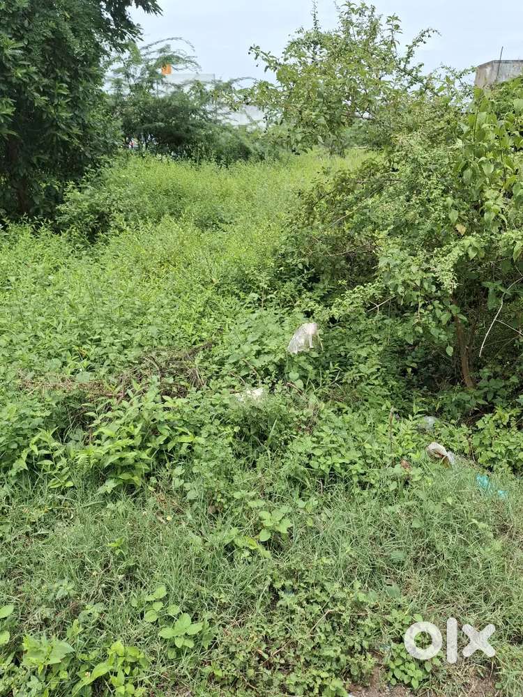 Land for sale