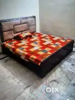 Pg in Phagwara
