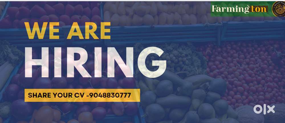 Sr.Accountant-Retail/Trading Industry Exp.